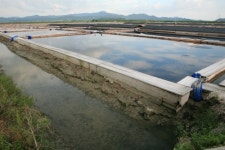 대흥장창복염전