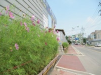 JK공업사 자동차검사소