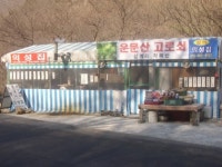 운문사고로쇠