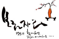 세인파트너스 부동산중개법인