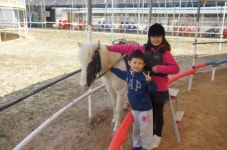 황태자호스랜드