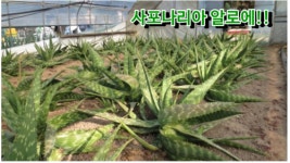 제이푸드