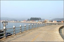 삽시도 성원 민박
