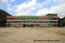 대성초등학교