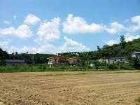 버드나무 펜션