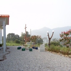전원교회