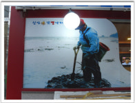 신안갯뻘낙지