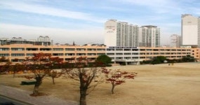대전동산고등학교
