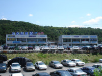 미래모터스
