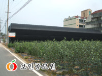 보인종묘원