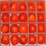 영동상촌과수농장