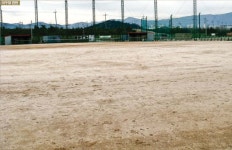 강릉영동대학교 야구장