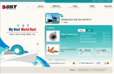 디에스티