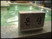 부광스포렉스
