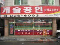 캐슬공인중개사사무소