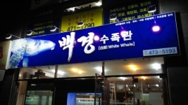 백경수족관