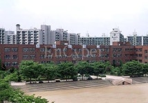 석촌중학교