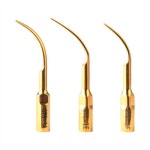 비엔엘바이오테크