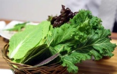 성신한우한마당