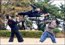 파워합기도