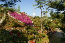 솔향펜션
