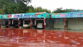 카스파셀프세차장