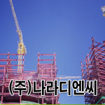 나라디엔씨