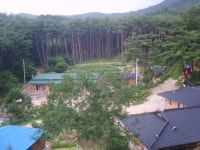 구룡사