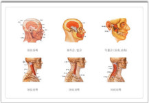 함수영건강지킴이