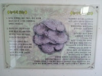 제1능이버섯 삼산점