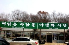 해맑은 사람들 야생화 사랑