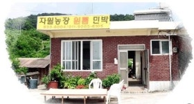 자월농장원룸민박