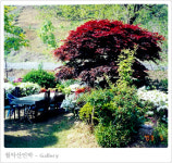 월악산 민박