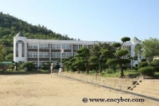 고흥도화중학교