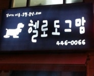 안양애견헬로도그맘