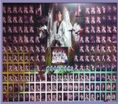 경희대석사창대태권도