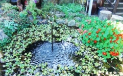 하늘맑은집펜션