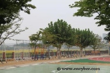 삼성초등학교