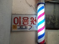 모피고이용원