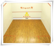 세화스쿼시앤헬스