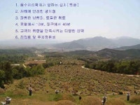 대명공원묘원