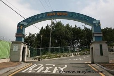 금샘초등학교