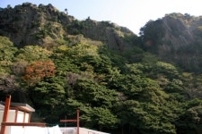 울릉도family호텔