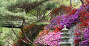 양평밸리관광펜션