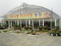 다육사랑자기사랑