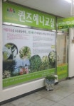 퀸즈헤나