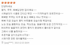 머피애견