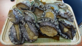 금강수산