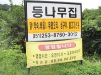 등나무집