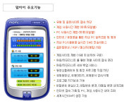 제이니스